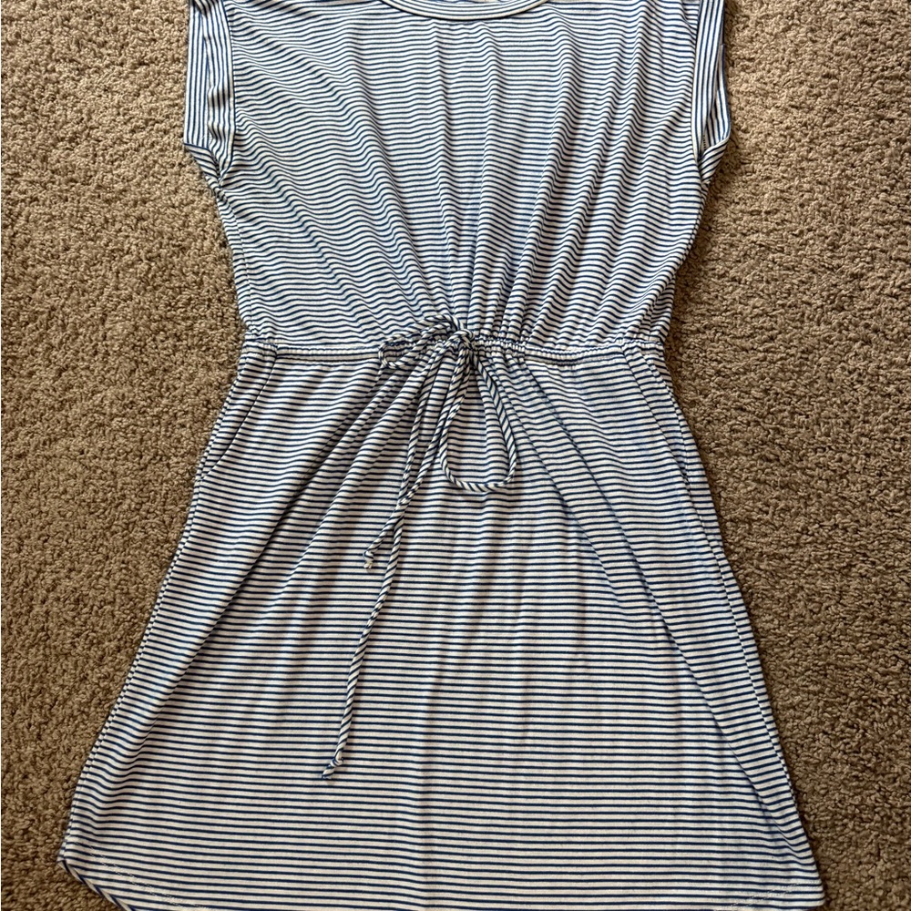 Striped Cinched Waist Dress